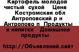 Картофель молодой, чистый, сухой. › Цена ­ 20 - Костромская обл., Антроповский р-н, Антропово п. Продукты и напитки » Домашние продукты   